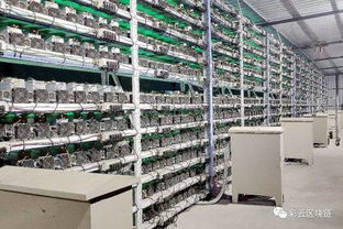 An advanced mining rig setup achieving optimal hash rate through expert hosting